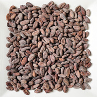 Dried Cocoa Beans by Cocoa Maya - Solomon Islands 1.5kg images 0