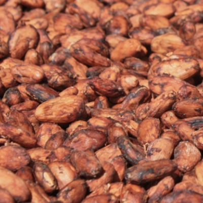 Health benefits of cocoa